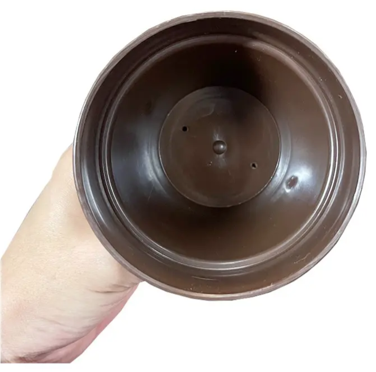 plinsa.5