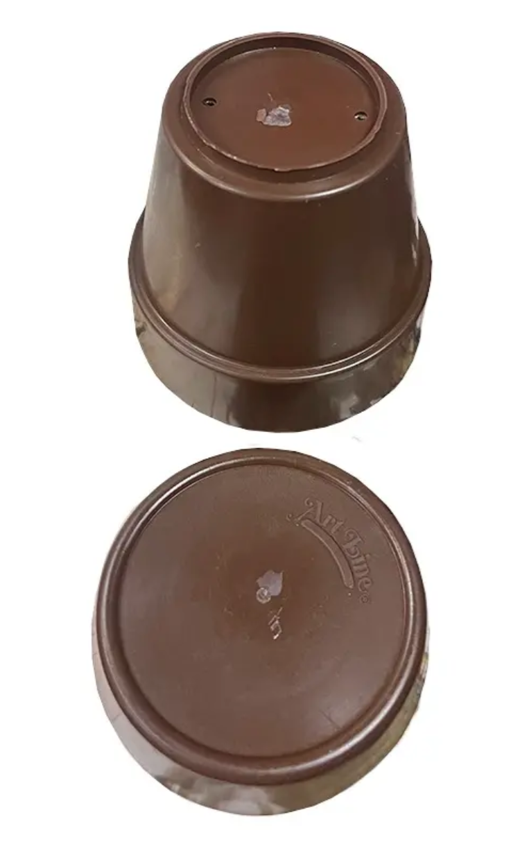 plinsa.7