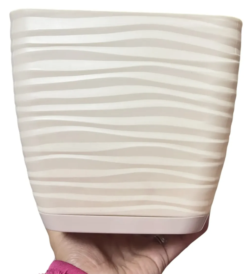 calypzo.1